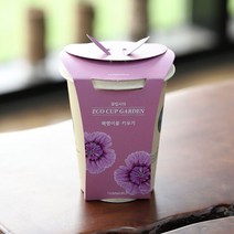 에코컵가든 패랭이꽃 키우기 홈가드닝 꽃 씨앗 기르기 화분 세트