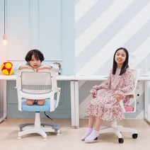 지엠퍼니처 에듀레스트 초등학생 어린이 컴퓨터 책상의자, A. 그레이 (하단 이동형 캐스터) EDR, 4. 발받침대+무회전중심봉 변경