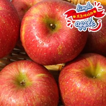 [내입에] 알뜰 못난이 사과(홍로) 6kg
