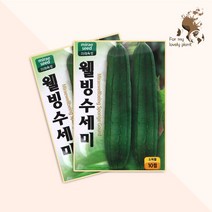 웰빙수세미 10립 미래종묘 열매채소류 씨앗