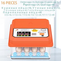 병아리부화기 계란 닭 자동 부화기 새 메추라기 병아리 가금류 터너 농장 부화, 16 PCS EGG incubator+UK Plug