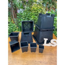 사각플라스틱분) 도매 사각플분 낱개 다육이 사각분