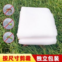 방조망 한냉사 한랭사 블루베리망 참새망 오이 호박 조류 농작물보호 넝쿨 농사용그물 방충망 방충나일론망 과실방충 초파리방충 방조백필터 담그는 야채 방충커버 온실농업용, 폭 3m  길이 10m 방충망 다른 단일 그물 없