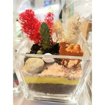 집콕놀이 당일발송 / 집콕놀이 테라리움 테라리움만들기 식물만들기 만들기 키트 선물/ 학교단체수업 유치원단체수업 심리상담수업 방과후수업/홈가드닝 인테리어 다육이, D.낙타