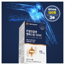 관절 연골엔 엠에스엠2000 MSM, 3통, 120정