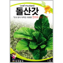 돌산갓 10g/갓 씨앗 종자 김장채소