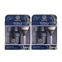 불스원 그라스 디퓨저 블루 블랙베리 100ml /차량용 방향제, 2개
