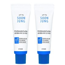 에뛰드 순정 판텐소사이드 10 시카밤, 50ml, 2개