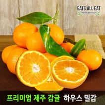 이츠올릿 제주 감귤 중과 선물용 3kg 제주도 하우스 고당도 귤 타이백 밀감