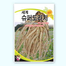 슈퍼도라지씨앗 1 000립