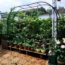 철제 가든 아치 장미 정원 덩굴 지지대 덩굴시렁, 녹색 폭 2.8 높이 2.2 중간