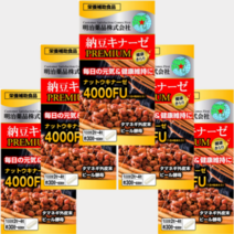 일본 노구치 의학연구소 나토키나제 4000FU 120정 5개