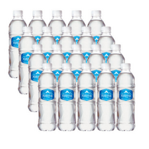 아워홈 지리산수, 500ml, 120개
