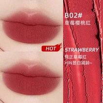 2 In 1 립스틱 블러쉬 매트 립 틴트 내추럴 페이스 롱 래스팅 글레이즈 이지 컬러링 듀얼 사용 메이크업 팔레트, 02 style02, 한개옵션1