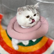 구매평 좋은 고양이쿠션넥카라 추천순위 TOP100 제품 리스트