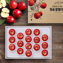 [청년연구소][선물세트] 청송 꿀땡이 사과 5kg 15-17과(중과)