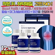 종근당 청소년 중학생 고등학생 키크는 성장 칼슘 종합영양제 / 남 여 학생 성인 성장 발육 촉진 뼈성장 도움 필수영양소 / 키즈 칼슘 마그네슘 10대 20대 건강기능식품 추천, 2상자(12개월)