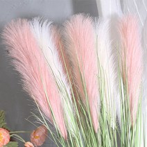 화이트핑크 팜파스 갈대 조화 1p(2color), 핑크 1p