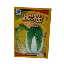 노랑쌈 배추 씨앗 2000립