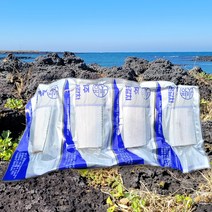제주 명품 은갈치 제주갈치 갈치살 특산품 갈치조림 갈치구이, 600g 2마리(8팩)