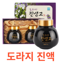 고이담은 도라지 진생고 건강 환절기 온가족 국산 원료 농축액 대추 배 생강 모과 1일3회 진액 고형분 30% 50% 식물혼합 참당귀뿌리 칡뿌리 사철쑥 익모초지상부 구절초, 500gx2병