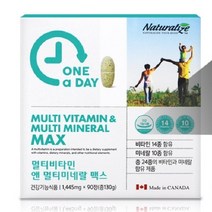 멀티비타민 앤 멀티미네랄 맥스 성인비타민 20대비타민