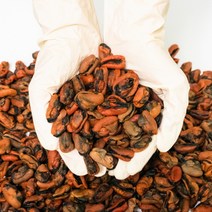 오늘의바다 국산 햇 건홍합 말린홍합, 500g, 1개