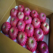 [경북사과]고당도 알뜰 햇사과 특가행사 가정용, 1box, 14.가정용 사과 10kg/대과