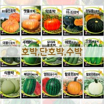 주주씨앗 호박/단호박/수박씨앗 20종/호박순/약호박/단호박/풋호박/쥬키니/조롱박/꿀수박/복수박/할로윈/식용박/미니단호박, 12. 식용박 10립