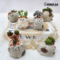미니화분 다육이 화분 선인장 홈가든 인테리어 냥이 도자기 캐릭터 개업 사무실 선물 답례품, 04.D