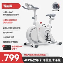 튼튼한 스피닝 자전거 실내 사이클 유산소 홈트 헬스 바이크 좌식 운동기구, 아이보리/인텔리전트 임피던스/AI시스템 이중연소