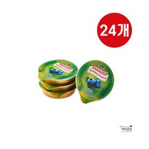 앤드로스 포션 블루베리잼 14.2g x 24개