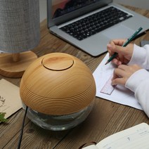 공부방 산소 생성기 메이커 사무실 침실 임산부 아기, 갈색