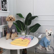 반려동물 Mr. 톰~보이 가디건(tom브라운), 스카이블루, XL