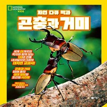 비룡소 새책-스테이책터 [자연 다큐 백과 : 곤충과 거미] -내셔널 지오그래픽 키즈-비룡소-캐리 글리슨.디노 J. 마틴스 지음, 자연 다큐 백과 : 곤충과 거미