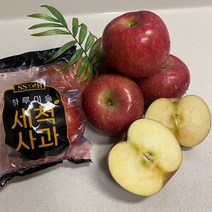 세척사과 껍찔째 먹는 사과 부사 꿀사과 가정용 3kg 5kg, 중소과11~15과