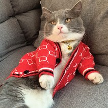 고양이 강아지 명품옷 니트 가디건 애견 스웨터 코트, 레드