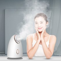 얼굴스팀기 헤어 머리 두피 미스트 안면 미용 가정용 미용실 스팀기 수분충전, EU 플러그(국내220v)