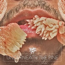 핫트랙스 TORO Y MOI - UNDERNEATH THE PINE