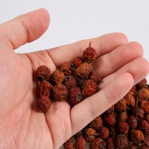 국내산 말린 산사열매 산사나무열매 산사차 산사자 아가위 꽃사과, 산사열매 300g