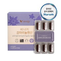 1+1//120캡슐 감마리놀렌산 보라지꽃종자유60캡슐 갱년기건강 달맞이꽃종자유, 1셋트, 1셋