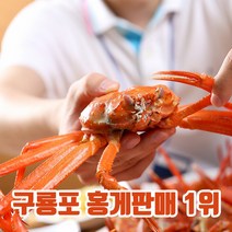 [팜딜리버리]대게 연지 홍게 제철 포항 구룡포 3kg 고급형 일반형 실속형 육수용, 고급형3kg(수율 80~90%)