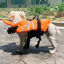 애견 물놀이 용품 구명조끼 강아지 라이프자켓 래쉬가드, 기본형 형광 그린