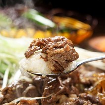 기타 [정성담은 천상궁] 양념 소불고기 500g x 2팩