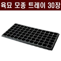 [주식회사 범농] 육묘 모종트레이(30장) - 육묘장 수목 묘목 배추 고추 상추 양파 대파 마늘 트레이 화분, 72구