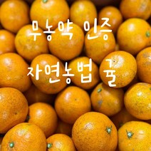 무농약인증 자연농법 귤 5키로, 1개
