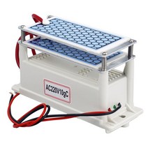 공기 청정기 220V 60 그램/시간 h 공기 청정기 오존 발생기 110V 휴대용 Ozonizador 공기 청정기 Ozonizer, 01 220V 10g
