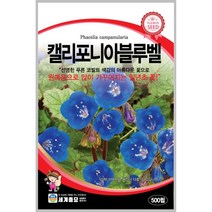캘리포니아블루벨 500립 꽃씨 일년생 씨앗 몰 봄 여름 가을 야생화 세계종묘 농사마트