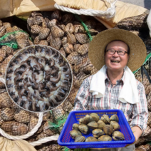 먹사부 노란 갈색 새조개 살 손질 생물 원물 샤브샤브 용 황금 500g 1kg 2키로 철, 선택2. 손질 새조개 (500g), 2개