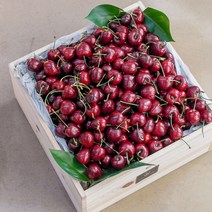 [서울/수도권 9/8 17시까지 주문건 추석전 퀵배송] 프리미엄 생 체리 박스 4KG 9~9.5 ROW, 없음, 상세설명 참조